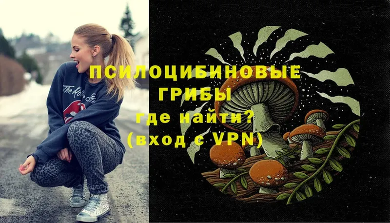 Галлюциногенные грибы Psilocybe  Верхотурье 